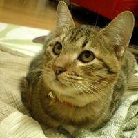 うえだまゆみ 会員画像