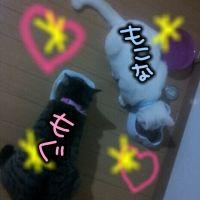 ななともぐ 会員画像