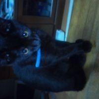 みゆさん 会員画像