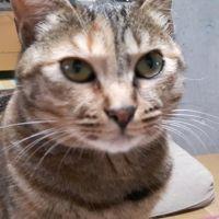 こういち↑さん