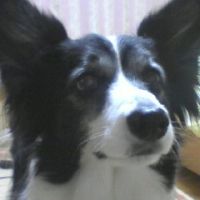 ももとそらさん