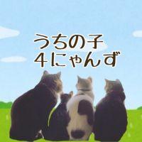 sarisaoさん