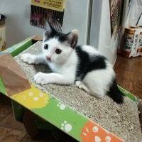会員画像