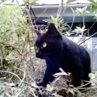 のず 会員画像