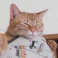 会員画像