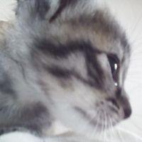 おかだだ 会員画像