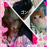 エディーーーー 会員画像