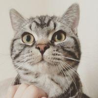 ふう。さん
