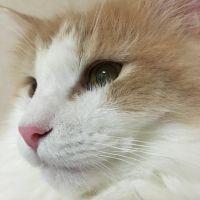 会員画像