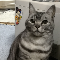 会員画像