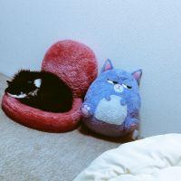 らんぴー 会員画像