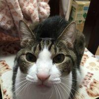 mika977 会員画像