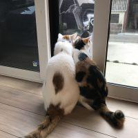 会員画像