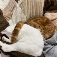 ほたる涼 会員画像