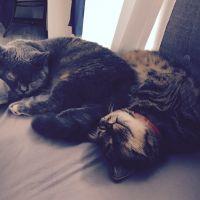 五十嵐くろ 会員画像