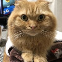 会員画像