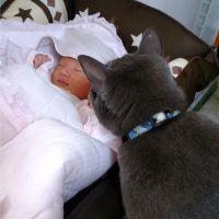 クルトン 会員画像