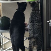 会員画像