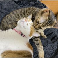 Ohagitarou 会員画像