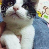 みかんのママ 会員画像