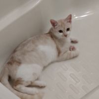 まみリーナ 会員画像