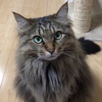 うにもち 会員画像