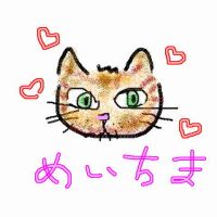 めいちま 会員画像