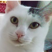そらのいえさん