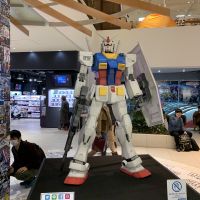 マテリアル まるまる 会員画像