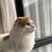 まるたろす 会員画像
