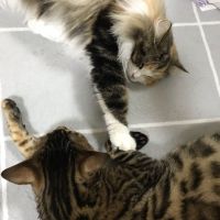 会員画像