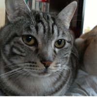 こじゅうろう 会員画像