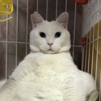 うーたん22 会員画像