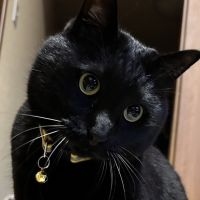 マるオさん