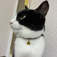 鹿之介さん