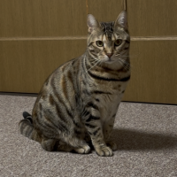 うり吉さん