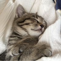 くりまゆさん