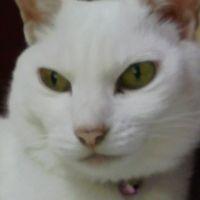 修ぽん 会員画像
