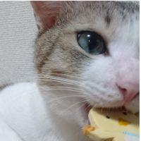 藤崎 会員画像