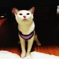 会員画像