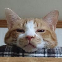 あーや11 会員画像