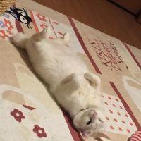 会員画像