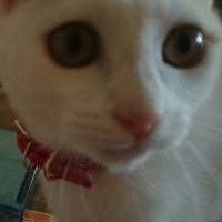 ぱとらっしゅ 会員画像