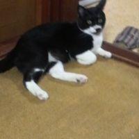 ボンママ 会員画像