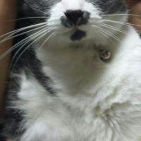 会員画像