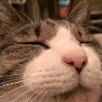 ユキンコ1212 会員画像