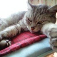 milk319 会員画像