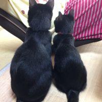 会員画像