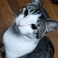 会員画像
