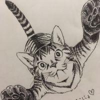 ぱん吉 会員画像